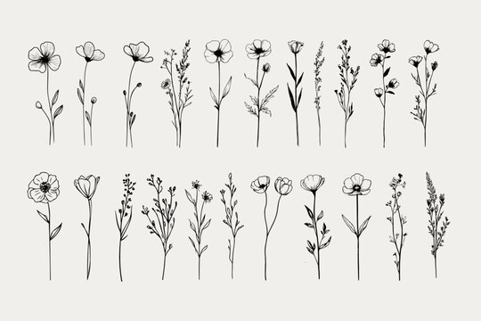 Wildflower Clipart Bundle &ndash; Hand-Drawn Botanical Vector Set 