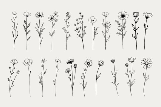 Wildflower Clipart Bundle &ndash; Hand-Drawn Botanical Vector Set 