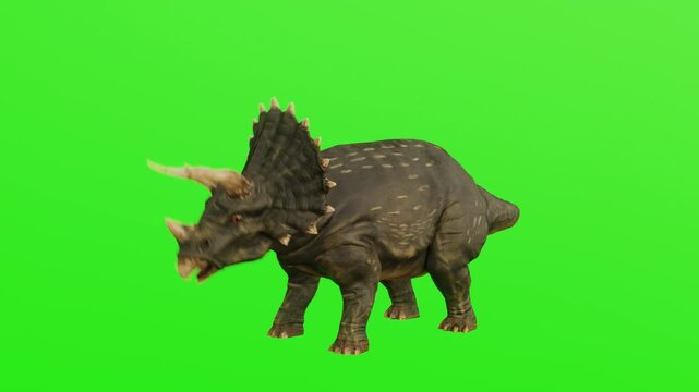 3D dinosaurs Green Screen