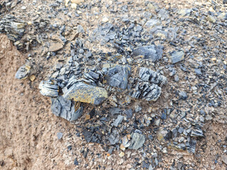 Tailings and waste sand  in  mined open pit coal quarry. Heavy erosion