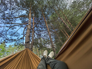 Relaxing in a hammock surrounded by tall trees on a sunny day
