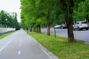 Green tree-lined pathway parallels busy road in urban area on a clear day