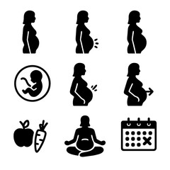 Pregnancy Stages Icons. Solid, filled icon set of pregnancy stages: first trimester, second trimester, third trimester, fetal