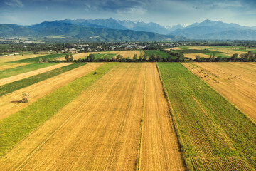 Aerial view of cultivated fields forming a colorful geometric pattern with a small village and...