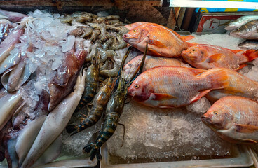 Snapper fish , prawns and squids displayed in fish market of Thailand