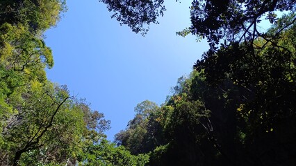 A heart shaped formation curved by forest in Hong Island, Thailand.