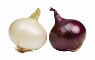 Purple onion and white onion isolated on white background