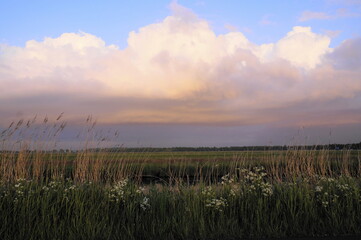 Fototapeta premium Sommerabend an einem Fleet in NOrddeutschland