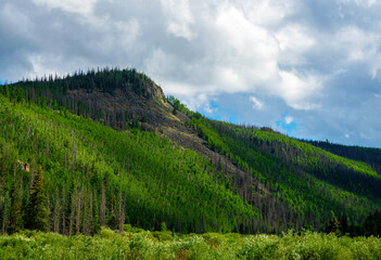 Green forested slopes and rugged terrain of the La Garita Caldera near Creede, Colorado, showcasing...