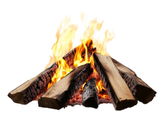 fire burning in fireplace