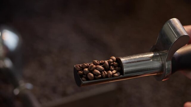 Professional barista checking quality of coffee beans after roasting and cooling in rotating machine, perfect flavor development.