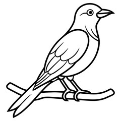 Vector art of outline drawing of a small bird perched on a branch isolated on white background