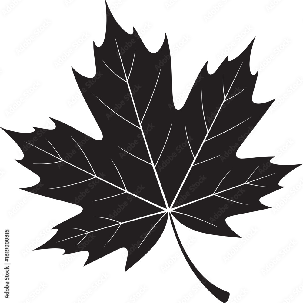 Poster detailed maple leaf vector illustration with intricate vein patterns and sharp edges design