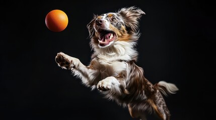 Dog with energetic expression catching ball mid-air, dynamic mood, frozen motion against blurred background with copy space