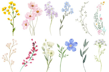 Watercolor Wildflower Clipart