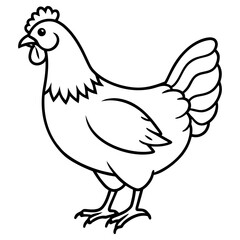 Vector art of line art illustration of a chicken isolated on white background