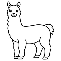 Vector art of smiling llama or alpaca standing, isolated on white background