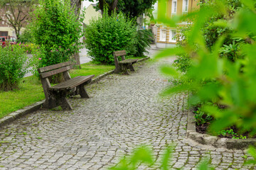 A sturdy wooden bench sits in a lush park, surrounded by vibrant green grass and towering trees under a soft blue sky. It invites rest and reflection amid nature s calm embrace, perfect for a peaceful