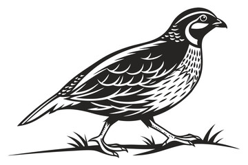 Fototapeta premium bird on a branch