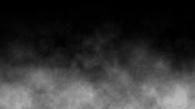 Moving white smoke on black background. Slow motion of steam rising up. White fog motion graphic on dark background. smoke in white color, mist. 4k seamless looping video