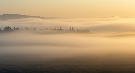 Naklejka premium Fog Rolling Over a Forest Landscape at Sunrise