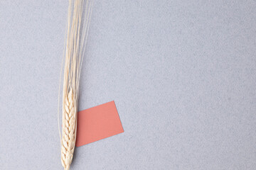 Minimalistic background with wheat grass, orange gift tag on a gray surface, copy space.