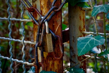 Old Rusty Gate with Padlock