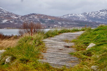 Path in the mountains