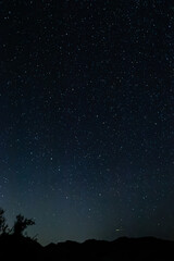 Joshua Tree Night Sky 