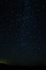 Joshua Tree Night Sky 
