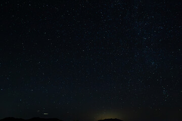 Joshua Tree Night Sky 