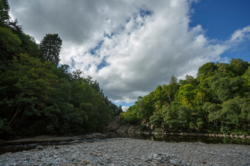 Serene riverbank surrounded by lush greenery and dramatic clouds in a remote forest setting