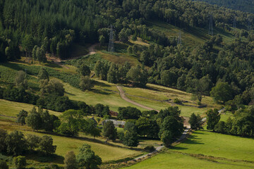Rolling green hills and tall trees create a tranquil landscape in the countryside during a sunny afternoon