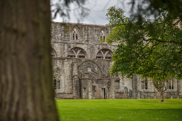 Historic abbey ruins surrounded by green grass and trees in a tranquil outdoor setting, showcasing ancient architecture and serene nature