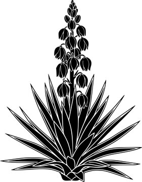 yucca silhouette line art vector illustration with a white background