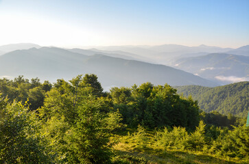 Beautiful panoramic view of green forest trees and rolling mountain hills under a glowing sunrise....