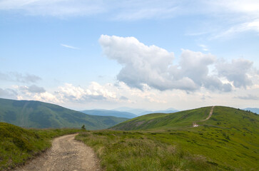 Serene mountain landscape featuring winding pathways amidst green hills with a backdrop of blue skies and clouds. Carpathian Mountains, Ukraine