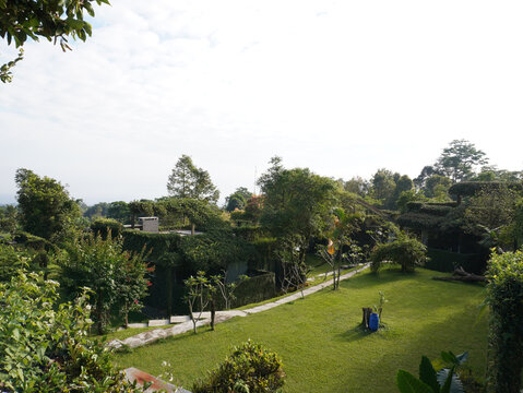 Lush green garden pathway leads to serene villa surrounded by vibrant tropical foliage and manicured hedges