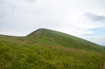 Rolling green hills stretch under cloudy sky, showcasing peaceful scenery perfect for nature...