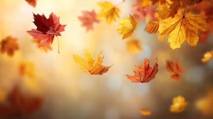 Falling autumn leaves float against a warm, blurred backdrop in a dreamy composition