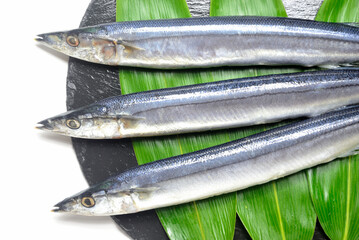 皿に盛った生秋刀魚