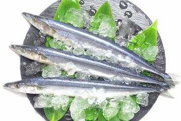 皿に盛った生秋刀魚