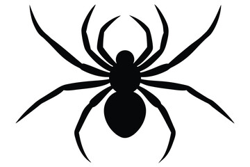black widow vector icon