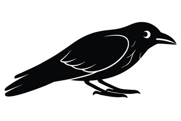 dead crow vector icon