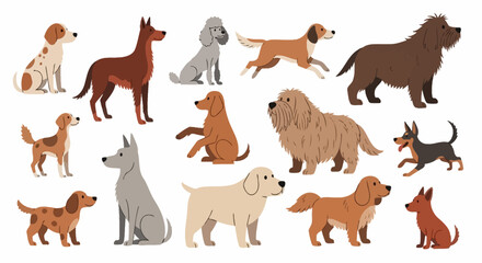 Fototapeta premium A large collection of popular dog breeds and cute puppies. Modern flat vector graphic set of different canine characters isolated on white.