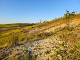 Obraz premium A grassy field with trees