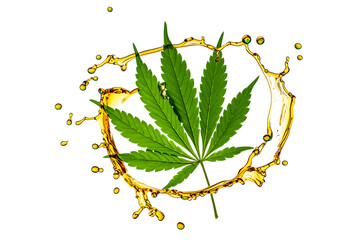 A vibrant green cannabis leaf is centrally placed within a splash of golden liquid.
