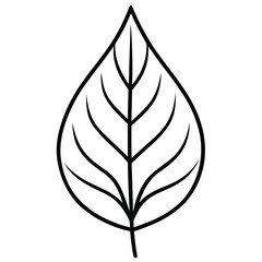 Detailed vector illustration of a single leaf with biological elements