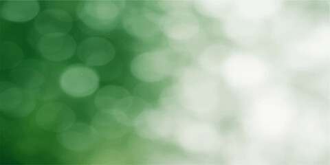 Obraz premium Soft Blurred White and Green Bokeh Light Background for Abstract Nature Design