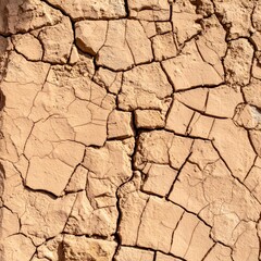 Fototapeta premium Closeup of a Distressed Brown Earthen Wall with Cracks and Rough Texture